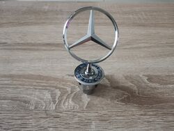 Mercedes Benz Silver Badge